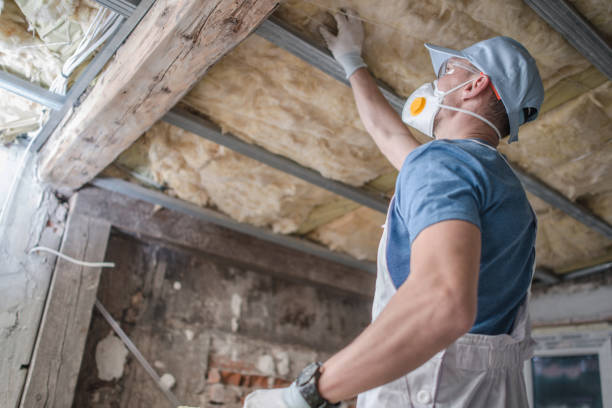 Best Insulation Installation Services in Eldorado, TX