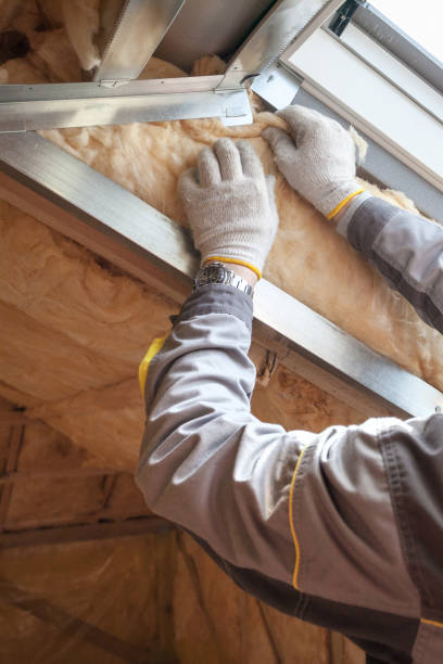 Best Types of Insulation in Eldorado, TX