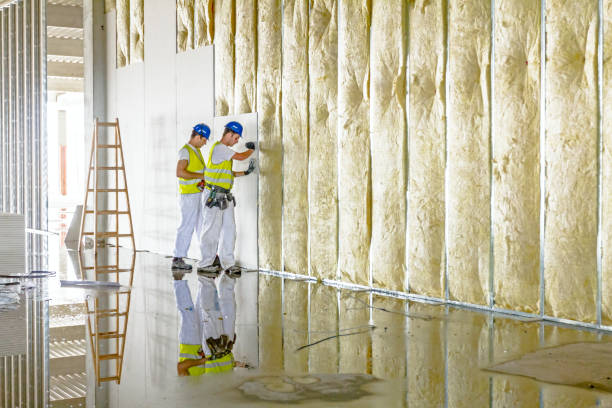 Best Specialty Insulation in Eldorado, TX